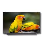 15.6 inch IPS TFT, EDP 1920X1080 (1)